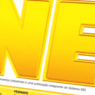 Grupo Lund NEI Soluções 2010